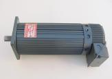 Peerless Electric servomotor replacement